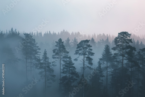 A dense forest with a foggy atmosphere. The trees are tall and spread out, creating a sense of depth and mystery. The fog adds an ethereal quality to the scene, making it feel almost otherworldly