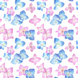 Seamless pattern with blue and pink  hydrangea on a white background. Watercolor illustration of summer flowers in botanical style.