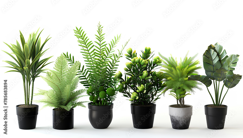 Fototapeta premium Green tropical home plants in pots on white background