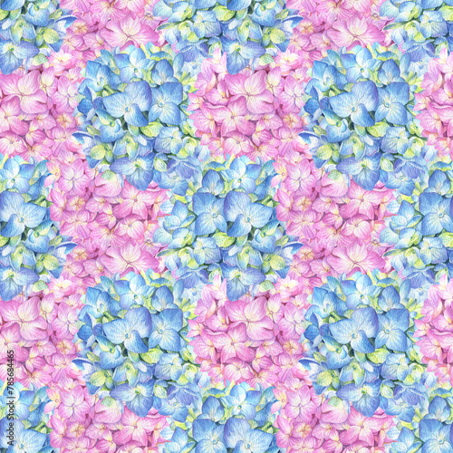 Seamless pattern with blue and pink  hydrangea on a white background. Watercolor illustration of summer flowers in botanical style.