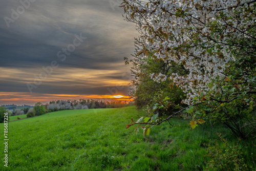 Evening near Roprachtice village in cloudy sunny evening photo