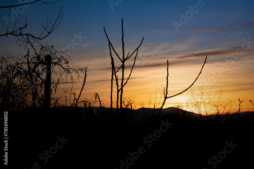 Sunset in Mugello country in january photo