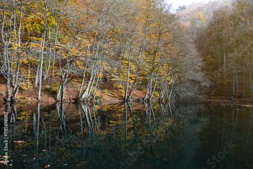 A beautiful autumn day with a river and trees. The leaves are changing colors and the water is calm