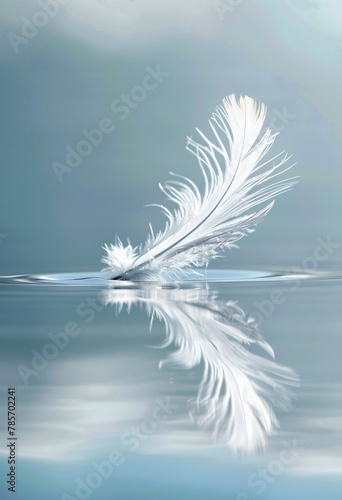 plume flottant sur l'eau
