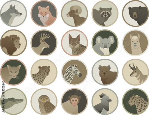 Animal portrait icon set. Isolated flat vector illustration. Stickers with wild animals and birds face avatars. Wildlife of the world. © Anastasiia Neibauer