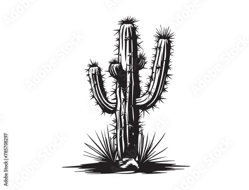 Cactus hand drawn isolated on white background
