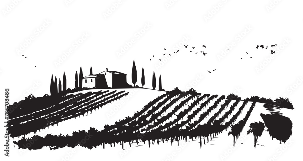 Fototapeta premium Vineyard landscape, Sketch, hand drawn illustrations.