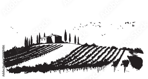 Vineyard landscape, Sketch, hand drawn illustrations.