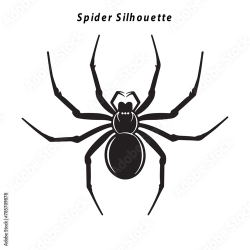 spider silhouette