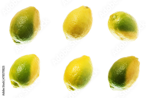 Collection of lemon isolated on white