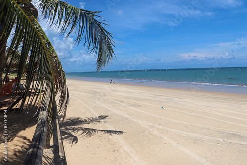 Praia com céu azul e areia branca com folhas de coqueiro photo