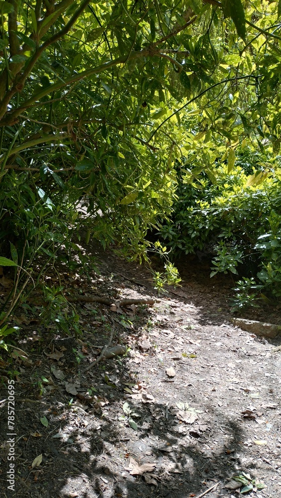 Promenade dans le parc de Châteauneuf-sur-Loire Promenade dans le parc de Châteauneuf-sur-Loire