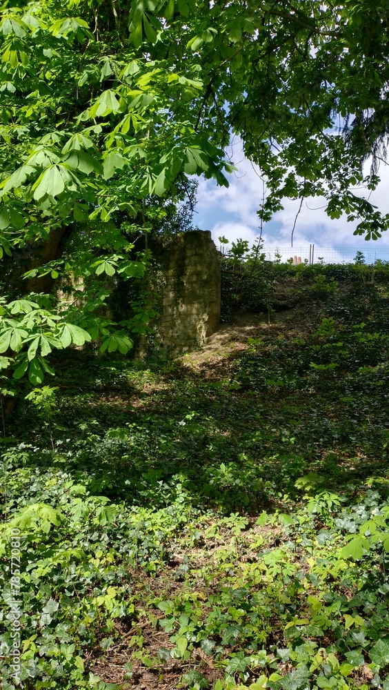Promenade dans le parc de Châteauneuf-sur-Loire Promenade dans le parc de Châteauneuf-sur-Loire