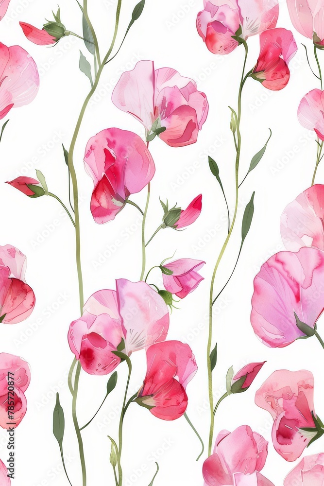 watercolor illustration of pink sweet pea flowers on white background, summer botanical vertical pattern for background, wallpaper, fabric and textile