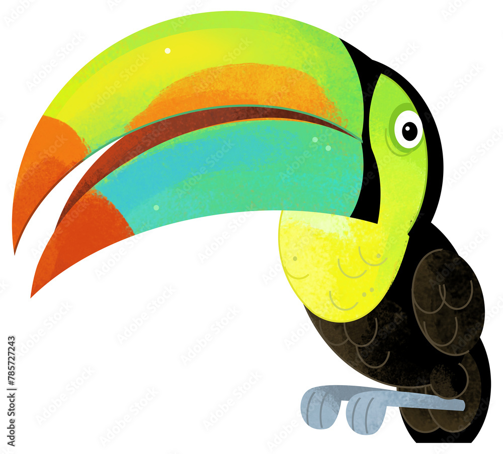 Fototapeta premium Cartoon animal happy tropical bird toucan isolated background illustration for children