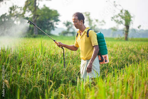 senior indian farmer using crop sprayer machine in the agricultural field to apply fertilizer