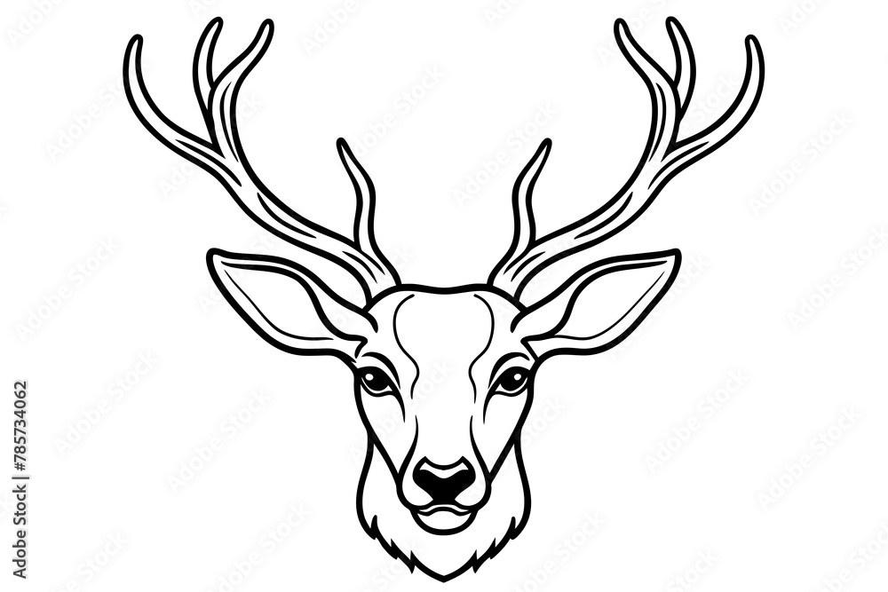 Head of deer line art vector illustration Head of deer line art vector illustration