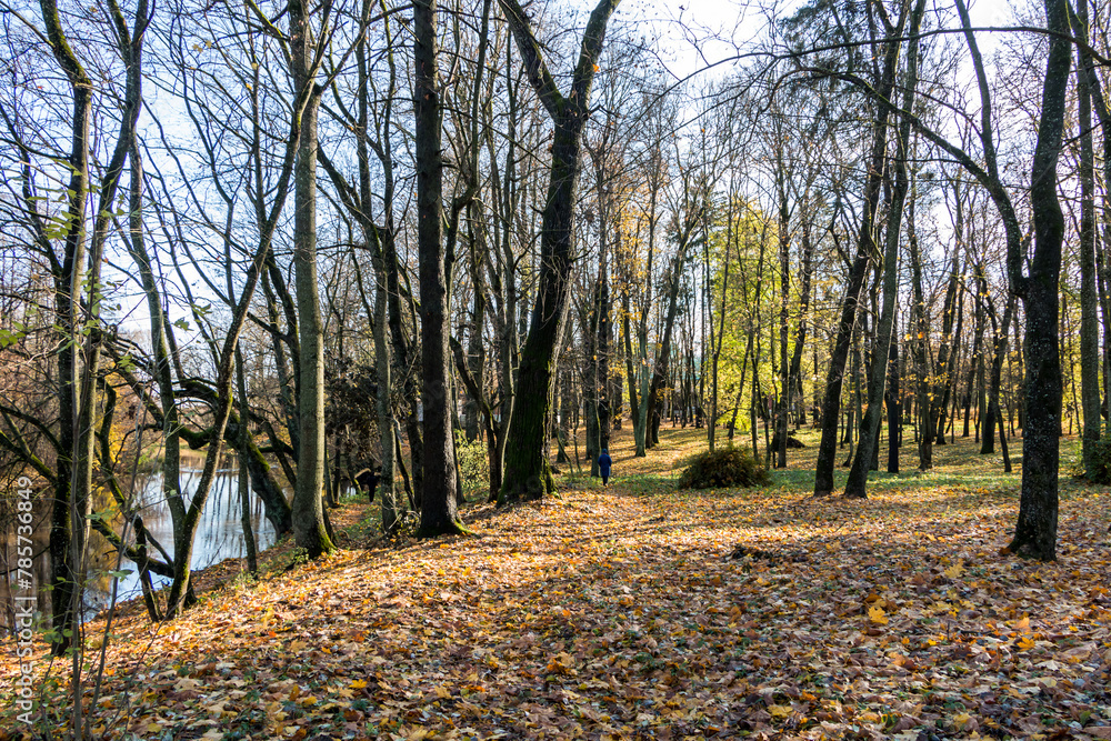 colorful autumn trees in the park. beautiful autumn landscape
colorful autumn trees in the park. beautiful autumn landscape