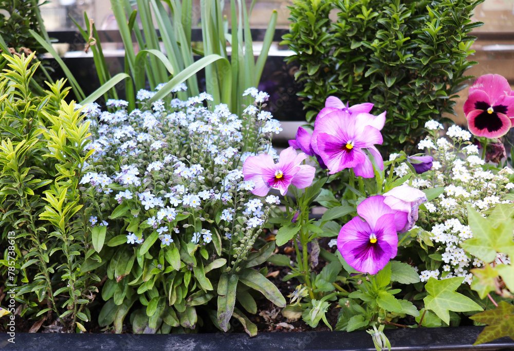 Naklejka premium indoor plants in ceramic pots