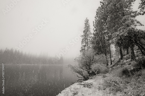 Lake Tabeaud, Jackson Ca