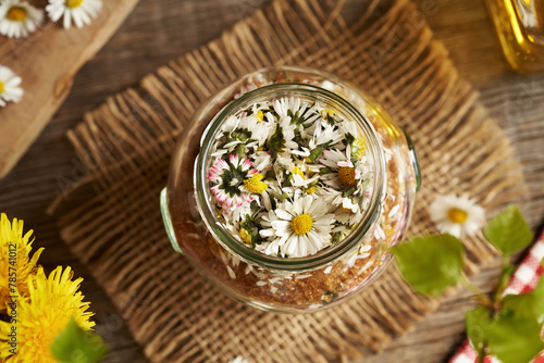 A jar filled with fresh lawn daisy flowers and cane sugar - preparation of herbal syrup
