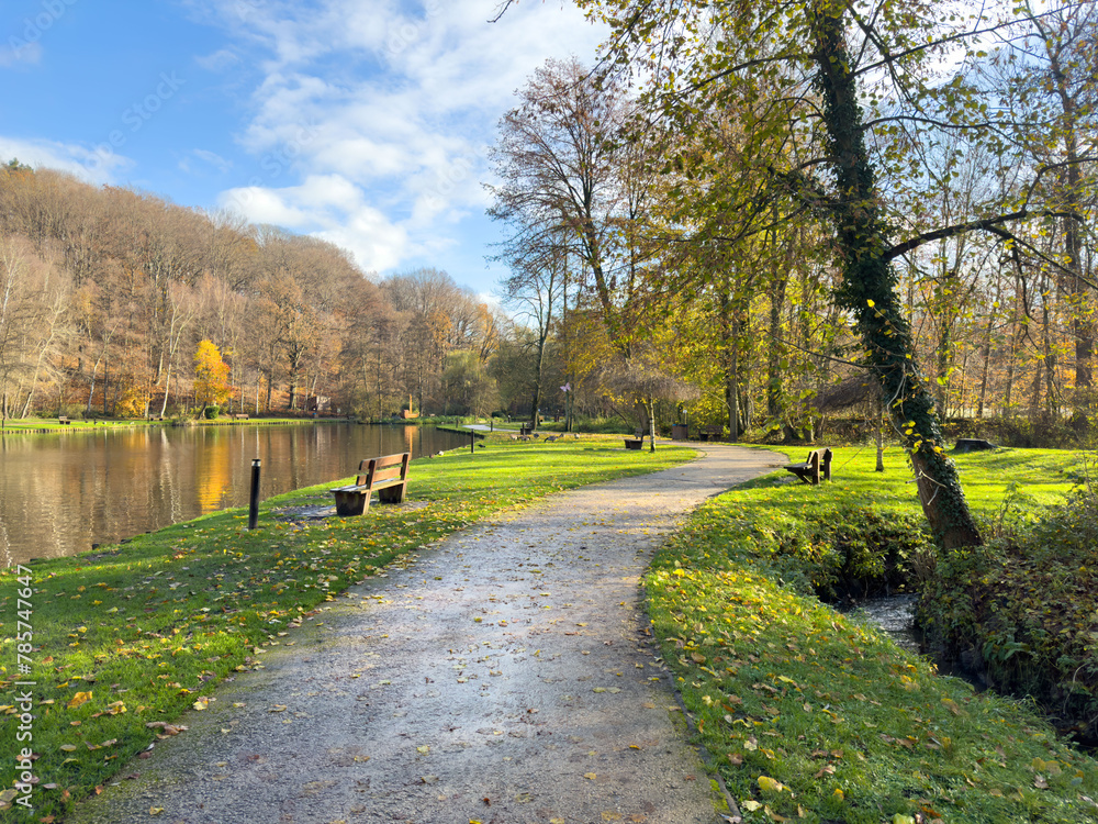 Fototapeta premium Green leisure park Bois des Reves with lake in Ottignie Louvain la Neuve, province of Walloon Brabant, Belgium
