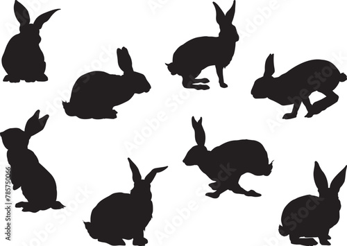 Set of Rabbit Silhouettes - Vector Image