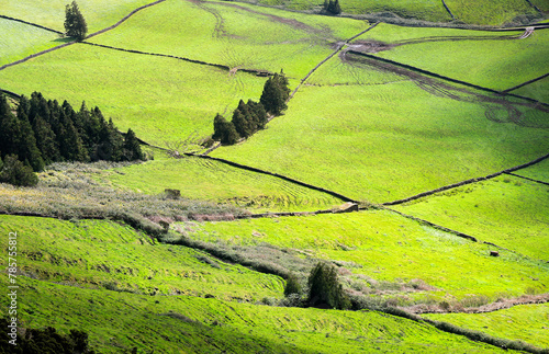 Ilha dos Açores, paisagem rural 
