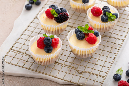 Mini vanilla cheesecakes cooked in a muffin pan served with fresh berries © fahrwasser