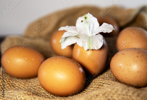 Close-up of chicken eggs on burlap, macro