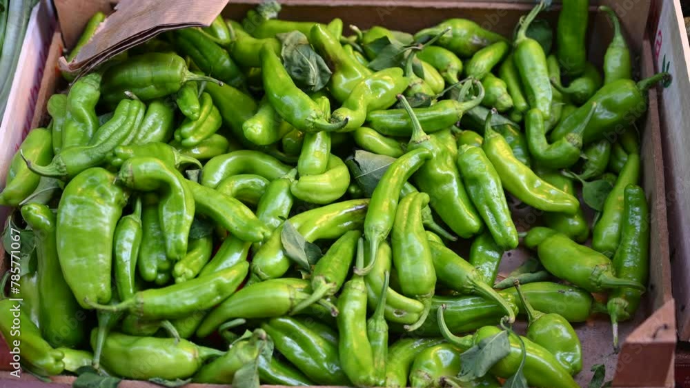 Fresh green pepper displayed in local market. Vegetable for sale. Fresh green pepper displayed in local market. Vegetable for sale.