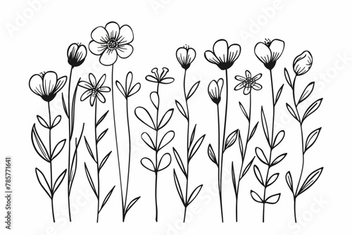 Flower doodle hand drawn line stroke. Sketch hand drawn spring floral plant, nature graphic leaf, scribble grunge brush texture. Vector simple flower, leaf brush stroke. Vector illustration vector ico photo