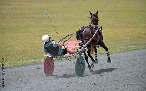 Fast jockey and horse during harness racing