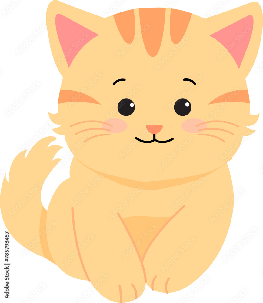 고양이 고양이