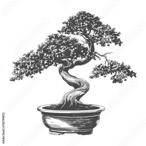 bonsai tree images using Old engraving style body black color only