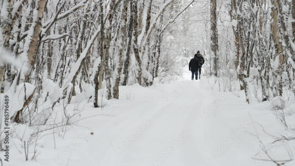Rear View of People Walking on Snowy Lapland Forest Trail STATIC Rear View of People Walking on Snowy Lapland Forest Trail STATIC