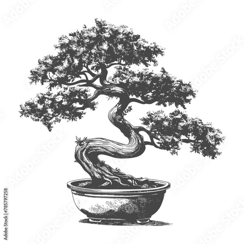bonsai tree images using Old engraving style body black color only