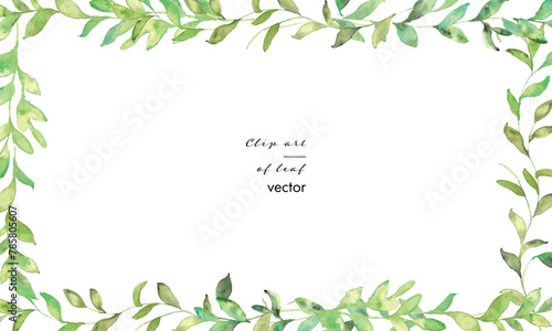 水彩画。水彩タッチのネクター草木フレーム。水彩で描いた植物の葉っぱイラスト。植物フレーム。Watercolor painting. Nectar plant and tree frame with watercolor touch. Watercolor illustration of plant leaves. Plant frame.