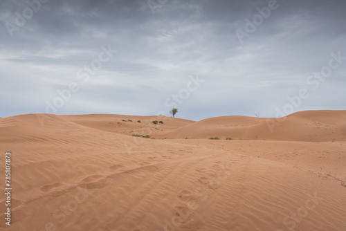 Close up background on the desert sand in Inner Mongolia, China.