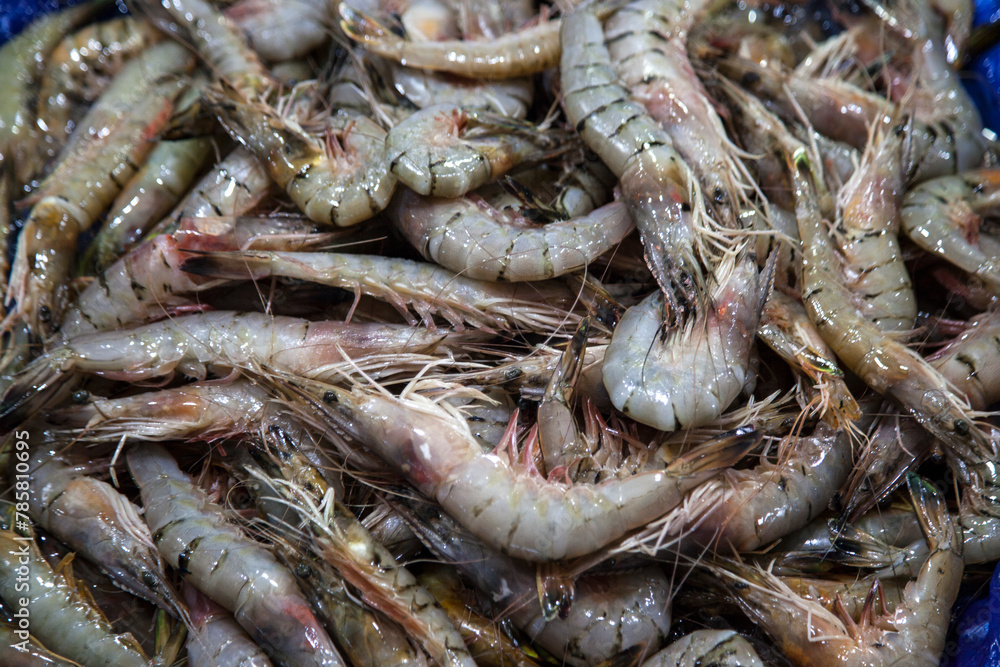 View of the raw shrimps in the market View of the raw shrimps in the market