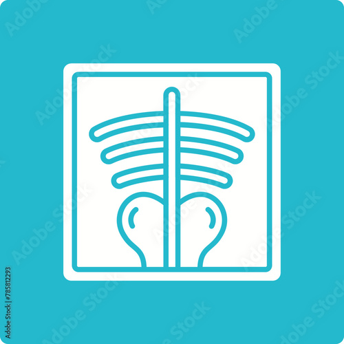 X-ray Icon