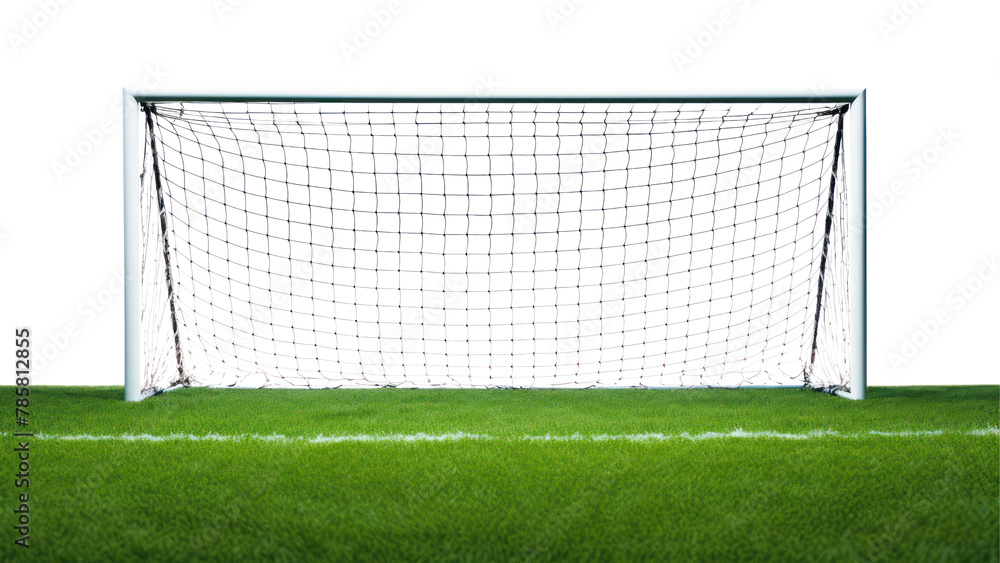 Fototapeta premium PNG Football sports grass plant