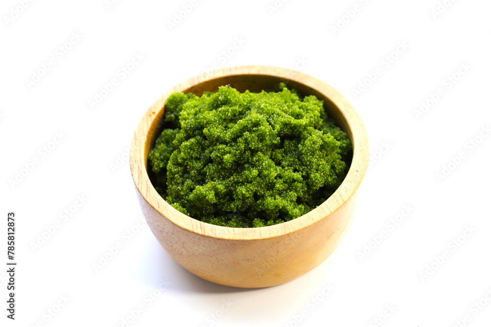 Wolffia globosa or swamp algae, water meal Wolffia globosa or swamp algae, water meal