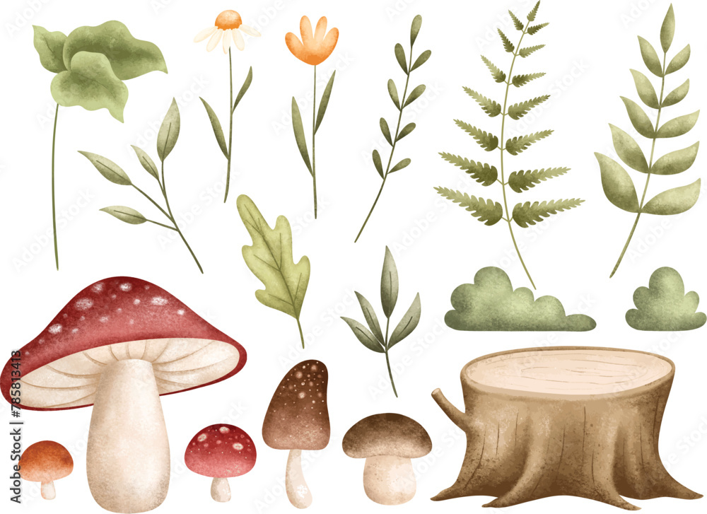 Fototapeta premium Watercolor Illustration Set of Forest Plants Leaves and Mushroom