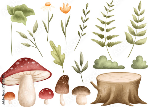 Watercolor Illustration Set of Forest Plants Leaves and Mushroom