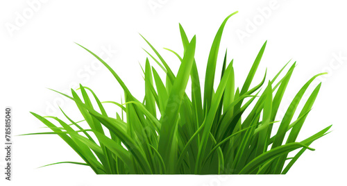 PNG Grass green plant leaf