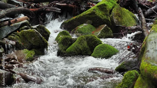 slow motion serene brook with clear water moss covered stones untamed nature tranqu 4K  photo