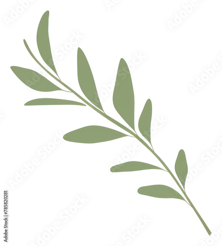 PNG  Illustration of a simple Twig Green Leaves green plant herbs