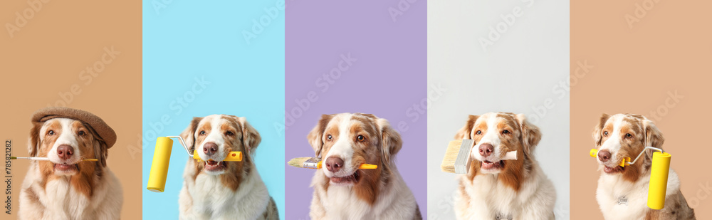 Set of cute dog with paint rollers and brushes on color background