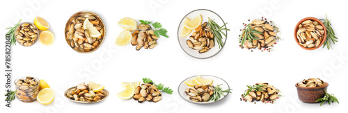 Set of tasty marinated mussels on white background